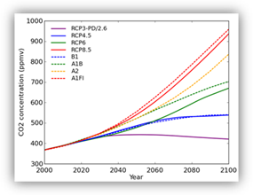 Graph showing the atmospheric carbon dioxide concentrations under each of the hypothetical SRES and RCP emissions scenarios.