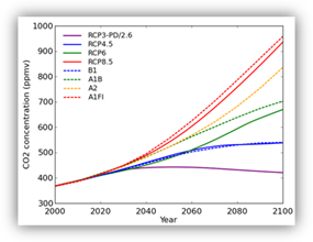 Four RCPs and the earlier SRES Graph showing the atmospheric carbon dioxide concentrations under each of the hypothetical SRES and RCP emissions scenarios.