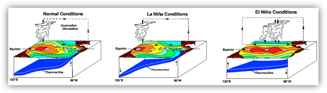 Three-dimensional depiction of three important phases of the El Niño-Southern Oscillation (ENSO) Three-dimensional diagram showing the general pattern of sea surface temperatures, atmospheric circulation and position of the ocean thermocline under normal, "La Niña" and "El Niño" conditions.